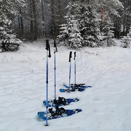 Lapland Hygge Vakantiehuis